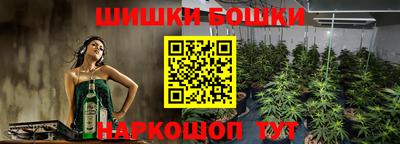 дживик Славгород